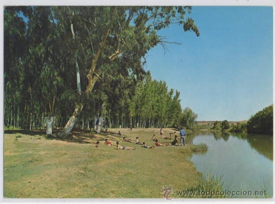Postales: TARJETA POSTAL DE BAILEN PLAYA &ldquo;LA CHOPERA&rdquo;  JAEN