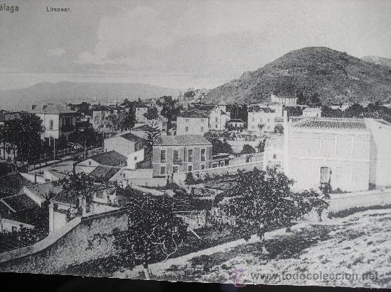 Postales: MALAGA - LIMONAR