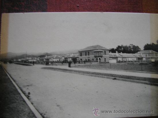 Postales: POSTAL MALAGA L. ROISIN CIUDAD JARDIN. AVENIDA