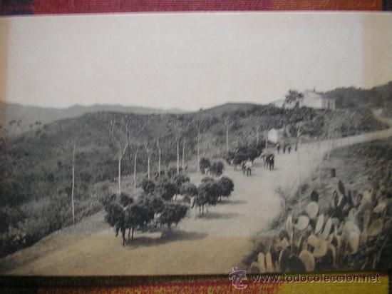 Postales: POSTAL MALAGA L. ROISIN CAMINO DE COLMENAR
