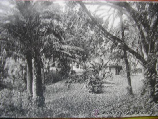 Postales: POSTAL MALAGA L. ROISIN JARDINES DE LA CONCEPCI&Oacute;N