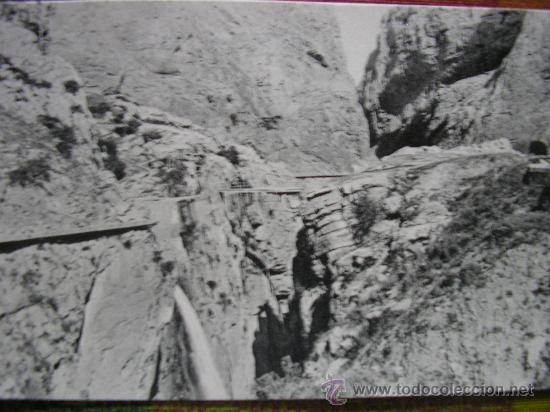 Postales: EL CHORRO ( MALAGA ) L. ROISIN CAMINO DEL REY