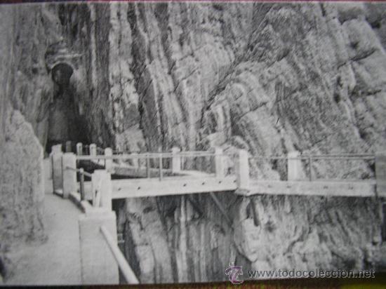 Postales: EL CHORRO ( MALAGA ) L. ROISIN CAMINO DEL REY