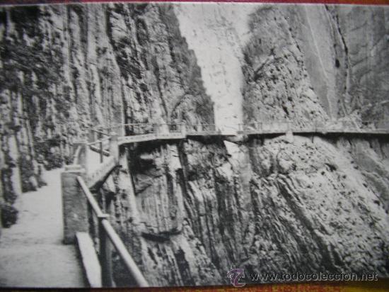 Postales: EL CHORRO ( MALAGA ) L. ROISIN CAMINO DEL REY