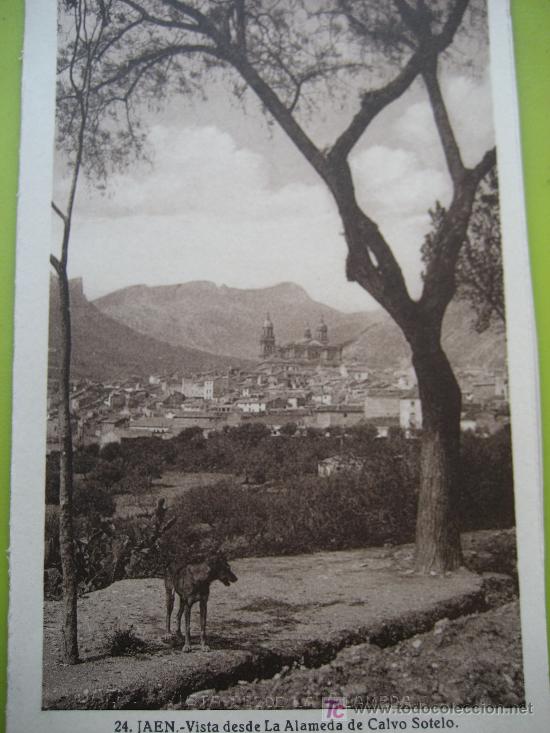 Postales: Jaen. N&ordf; 24 Vista desde la Alameda de Calvo Sotelo . Papeleria Morales. Postal sin circular