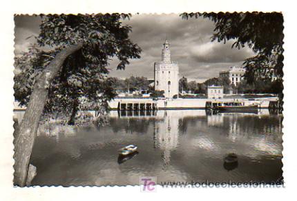Postales: SEVILLA. TORRE DEL ORO. - Foto 1