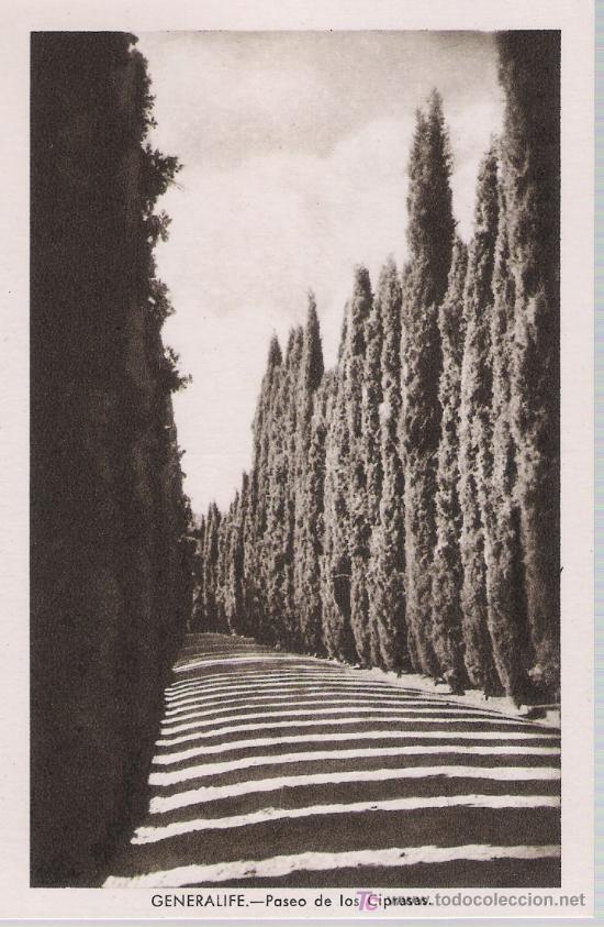 Postales: Generalife.- Paseo de los Cipreses. - Foto 1