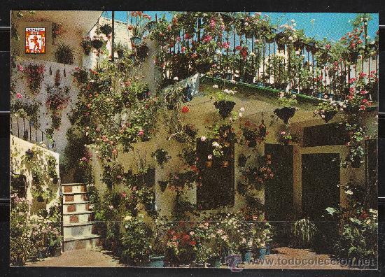 Postales: N&ordm; 804 CORDOBA. PATIO CORDOBES