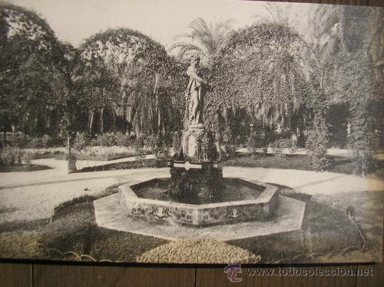 Postales: POSTAL MALAGA FOT. ROISIN PARQUE FUENTE DE LOS CISNES