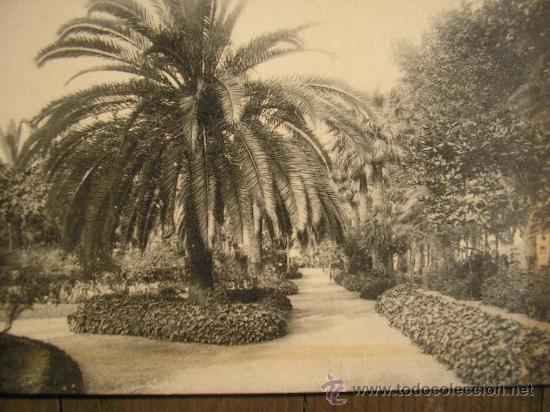 Postales: POSTAL MALAGA FOT. ROISIN JARDINES DEL PARQUE