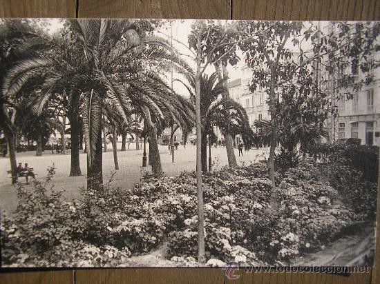Postales: POSTAL MALAGA FOT. ROISIN  PARQUE