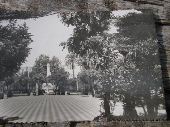 Postales: POSTAL FOTOGRAFICA CADIZ ALAMEDA DEL MARQUES DE COMILLAS JARDINES ED.GARRABELLA