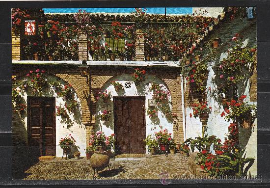 Postales: N&ordm; 953. CORDOBA. BAJO DE PATIO. PRIMER PREMIO. CALLE MONTERO, 12
