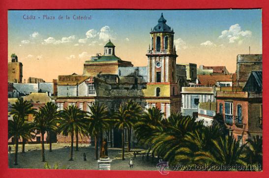 Postales: cadiz, plaza de la catedral,   P42119