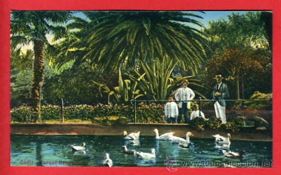 Postales: cadiz, parque genoves,   P42121