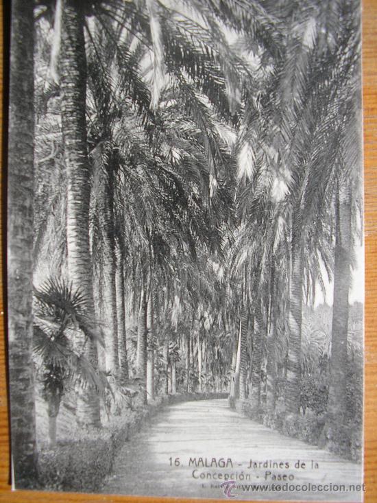 Postales: POSTAL MALAGA FOT. ROISIN JARDINES DE LA CONCPCION PASEO