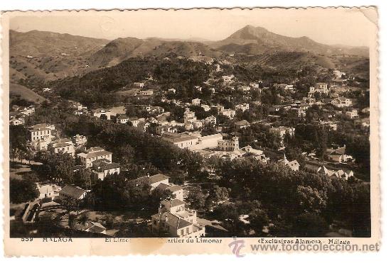 Postales: 1999 - MALAGA - EL LIMONAR - POSTAL FOTOGR&Aacute;FICA EXCLUSIVAS &Aacute;LAMOS