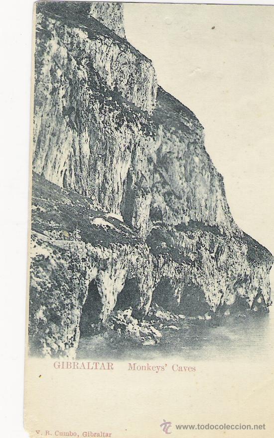 Postales: GIBRALTAR MONKEYS CAVES - Foto 1