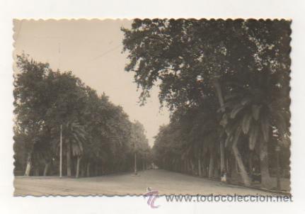 Postales: MALAGA. PASEO DEL PARQUE.
