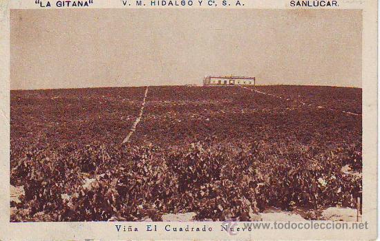 Postales: cadiz san lucar Finca &rdquo;la gitana&rdquo; vi&ntilde;a el cuadrado nuevo