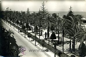 Postales: FOTO POSTAL DE CADIZ. PARQUE GENOVES. N&ordm; 1074. ED. ARRIBAS