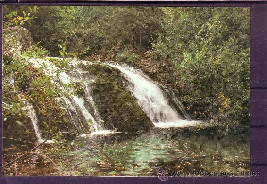 Postales: JAEN - PARQUE NACIONAL DE CAZORLA - RIO BAROSA N&ordm; 4