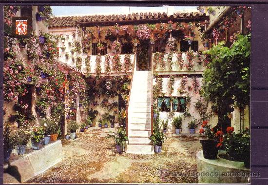 Postales: CORDOBA - PATIO CORDOBES PRIMER PREMIO