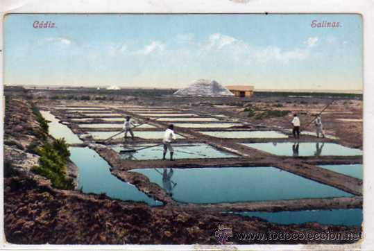 Postales: Cadiz. Salinas. Purger & co. 2685. Circulada. Reverso dividido.