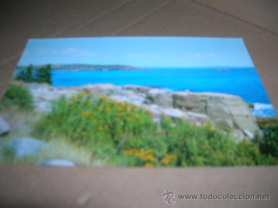 Postales: Tarjeta postal n&ordm; 6558: Costa Almeria. - Escrita el a&ntilde;o 1966, sin sello, sin circular..