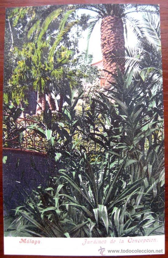 Postales: ANTIGUA POSTAL COLOREADA DE MALAGA - JARDINES DE LA CONCEPCION - ED. PURGER & CO. N. 3403 - NO CIRCU
