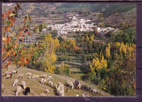 Postales: GRANADA - LAS ALPUJARRAS - PAMPANEIRA - Foto 1