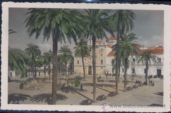 Postales: HUELVA.- PLAZA DE LA MERCED Y CATEDRAL