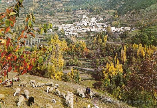 Postales: GRANADA - LAS ALPUJARRAS (PAMPANEIRA) - Foto 1