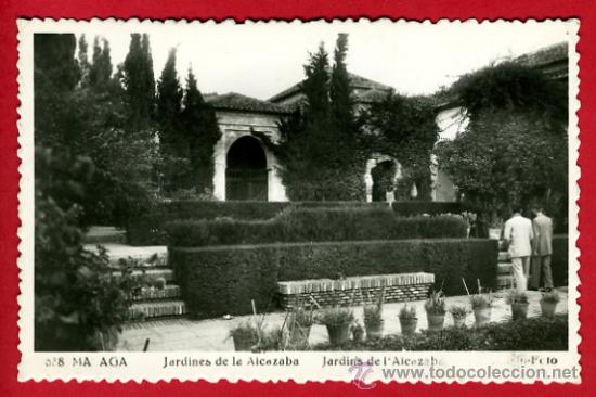 Postales: malaga, jardines de la alcazaba,   p48453