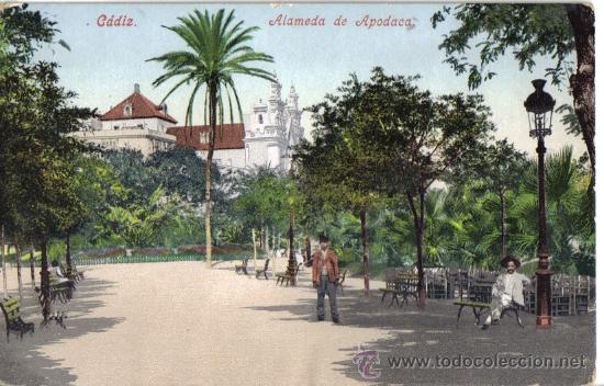 Postales: CADIZ, ALAMEDA DE APODACA, PURGER & CO N&ordm; 2001