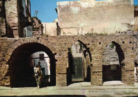 Postales: C&Aacute;DIZ N&ordm; 2026 ARCO DE LOS BLANCOS EDICIONES ARRIBAS - Foto 1