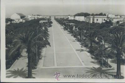 Postales: POSTAL DE SANLUCAR DE BARRAMEDA PASEO DE LA CALZADA   P-ANSLU-047