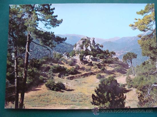 Postales: POSTAL DE SIERRA DE CAZORLA, JAEN, ANDALUCÍA. AÑO 1973. LOS CASTELLONES. 611.