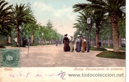 Postkarten: N&ordm; 7959 POSTAL CADIZ PARQUE GENOVES PASEO DE PALMERAS SIN DIVIDIR