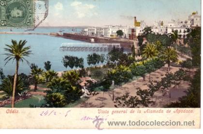 Postais: N&ordm; 8009 POSTAL CADIZ VISTA GENERAL DE LA ALAMEDA DE APODACA SIN DIVIDIR