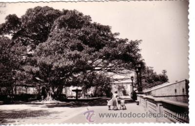 Postales: N&ordm; 7633 POSTAL CADIZ ALAMEDA DEL MARQUES DE COMILLAS NI&Ntilde;ERA