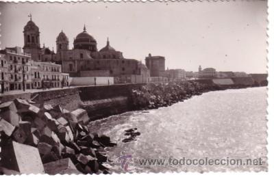 Postales: N&ordm; 7630 POSTAL CADIZ CAMPO DEL SUR MURALLAS Y CATEDRAL