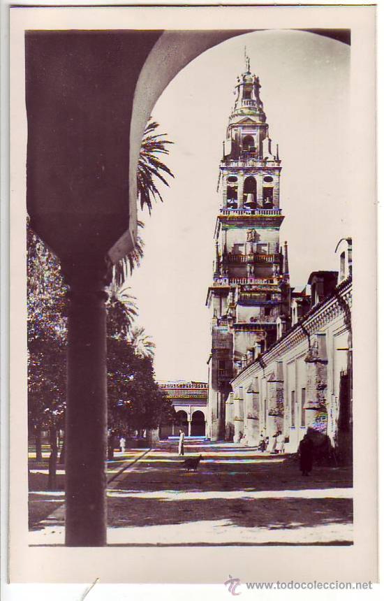 Postales: cordoba - patio de los naranjos y torre de la catedral - postal fotografica - ed. garcia garrabella