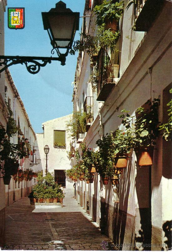 Postales: N&ordm; 8286 MALAGA - Foto 1