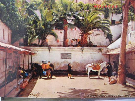 Postales: MOJACAR.  ALMERIA.  N&ordm; 43.  FLORES BARRAZA.  CIRCULADA.