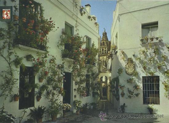 Postales: POSTAL DE CORDOBA. 717-CALLEJA Y PLAZA DE LAS FLORES   P-ANCOR-135