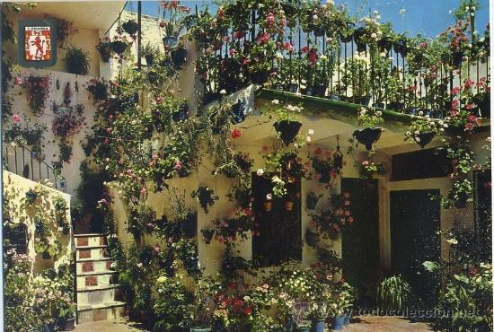 Postales: POSTAL DE CORDOBA. 804-PATIO CORDOBES   P-ANCOR-146