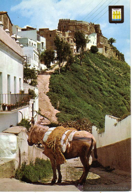 Postales: N&ordm; 8676 ARCOS DE LA FRONTERA CADIZ