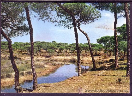 Postales: HUELVA - PUNTA UMBRIA - EL CA&Ntilde;O DE LA CULATA - Foto 1