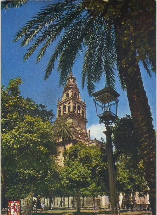 Postales: POSTAL DE CORDOBA. 711- PATIO DE LOS NARANJOS   P-ANCOR-175